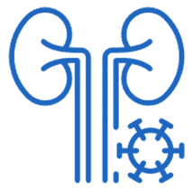 Critical Care Nephrology Icon