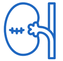 Critical Care Nephrology Icon