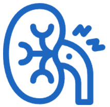 Critical Care Nephrology Icon