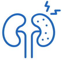 Critical Care Nephrology Icon
