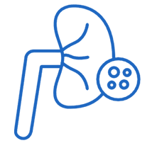 Critical Care Nephrology Icon