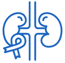 Critical Care Nephrology Icon